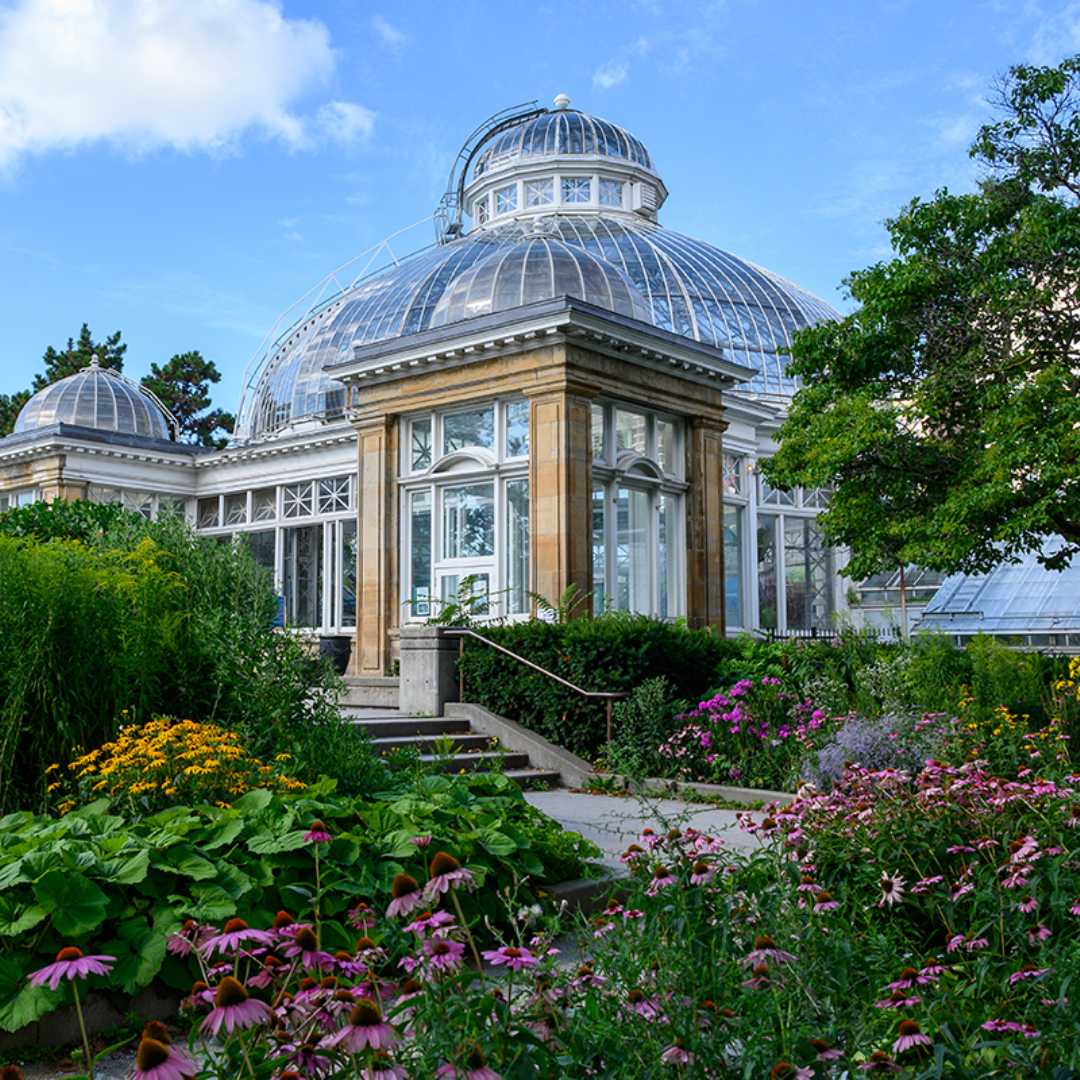 Allan Gardens