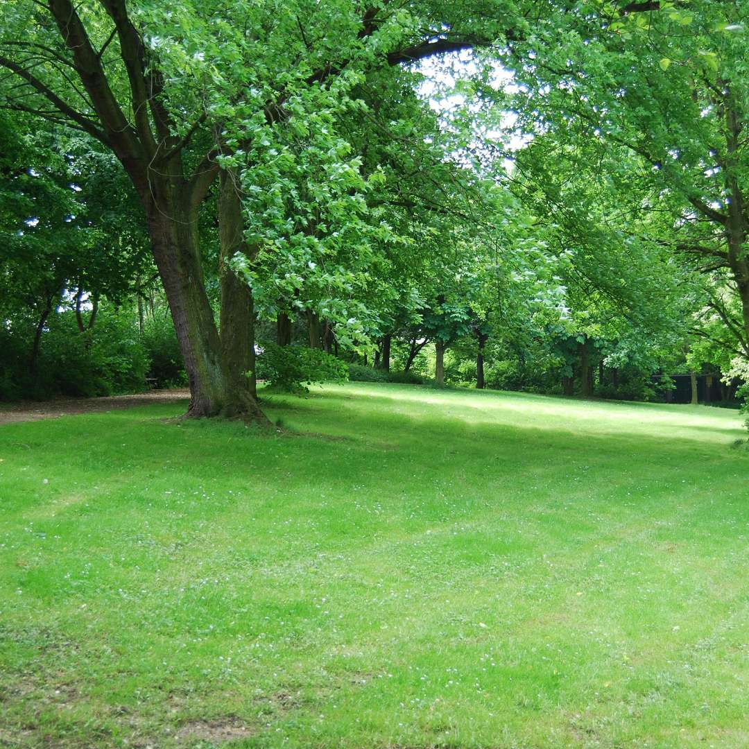 park